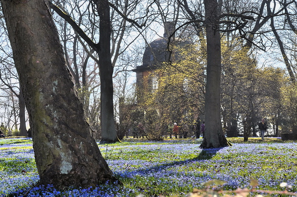 Fruehling2012   064.jpg